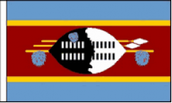 Swaziland Hand Waving Flags